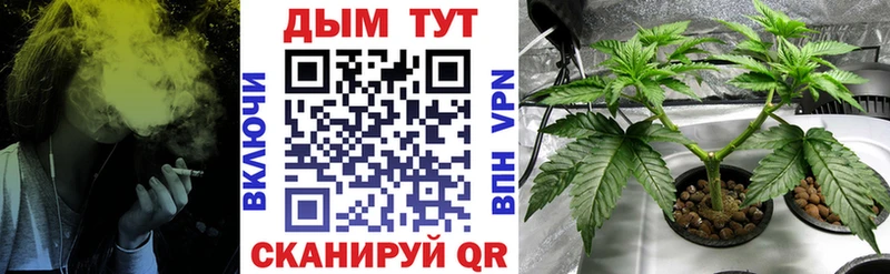 Бошки Шишки Котельниково