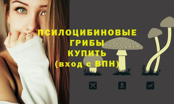 а пвп мука Балахна