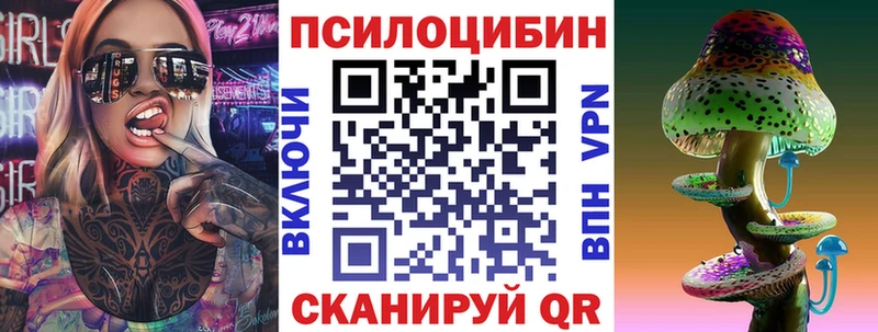 купить  цена  Котельниково  Галлюциногенные грибы Psilocybe 